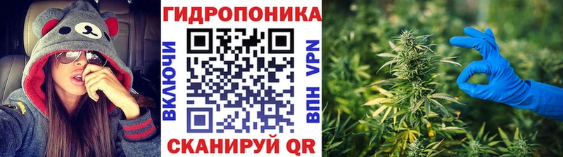 Бошки марихуана конопля как найти Ленинск